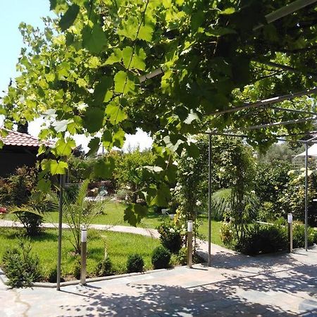 Villa Viktoria Halkidiki Nea Silata Exterior foto