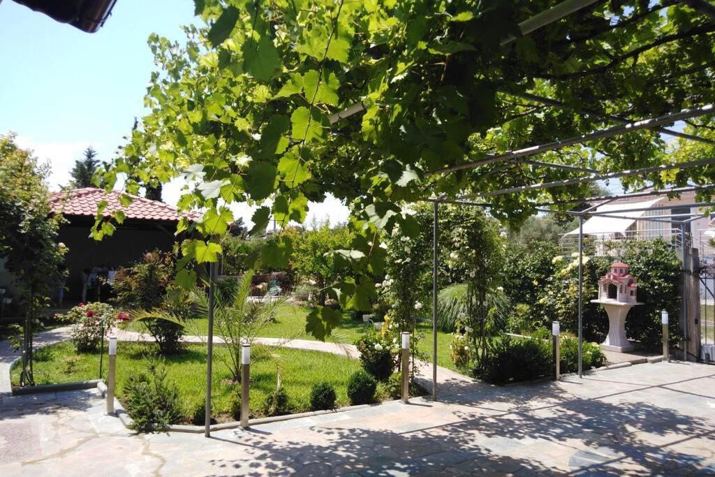 Villa Viktoria Halkidiki Nea Silata Exterior foto
