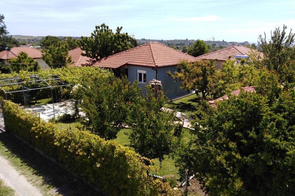 Villa Viktoria Halkidiki Nea Silata Exterior foto