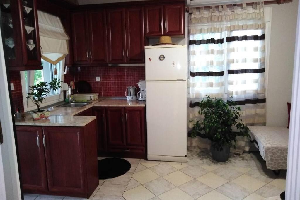Villa Viktoria Halkidiki Nea Silata Exterior foto