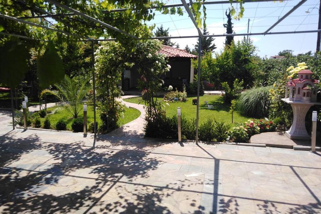 Villa Viktoria Halkidiki Nea Silata Exterior foto