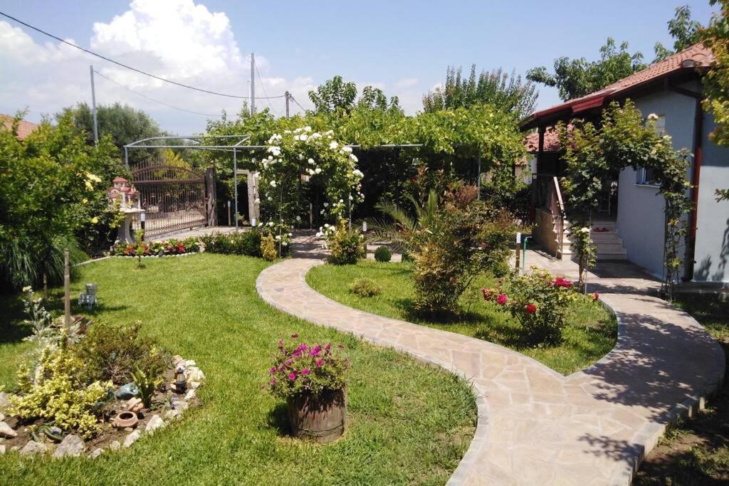 Villa Viktoria Halkidiki Nea Silata Exterior foto