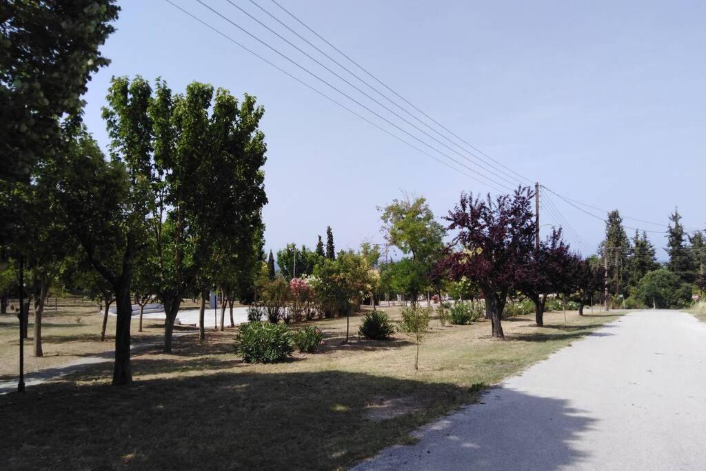 Villa Viktoria Halkidiki Nea Silata Exterior foto
