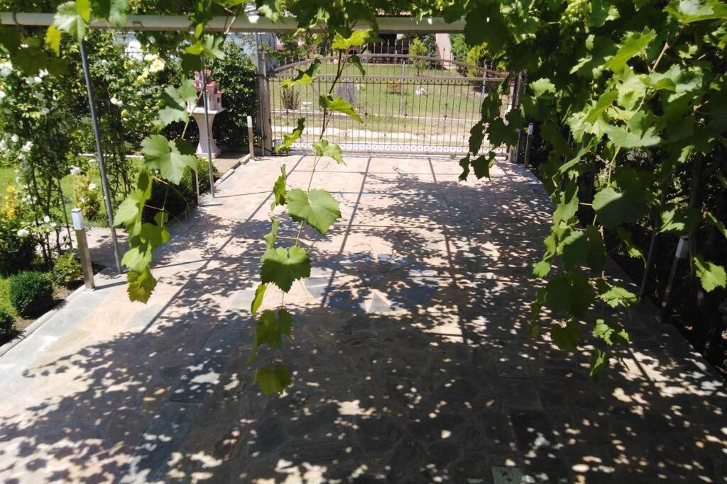 Villa Viktoria Halkidiki Nea Silata Exterior foto